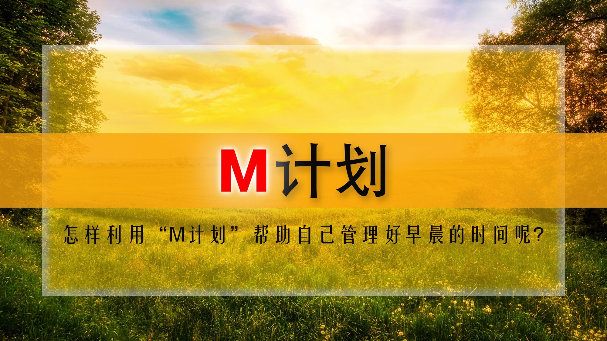 怎样利用“M计划”帮助自己管理好早晨的时间呢？