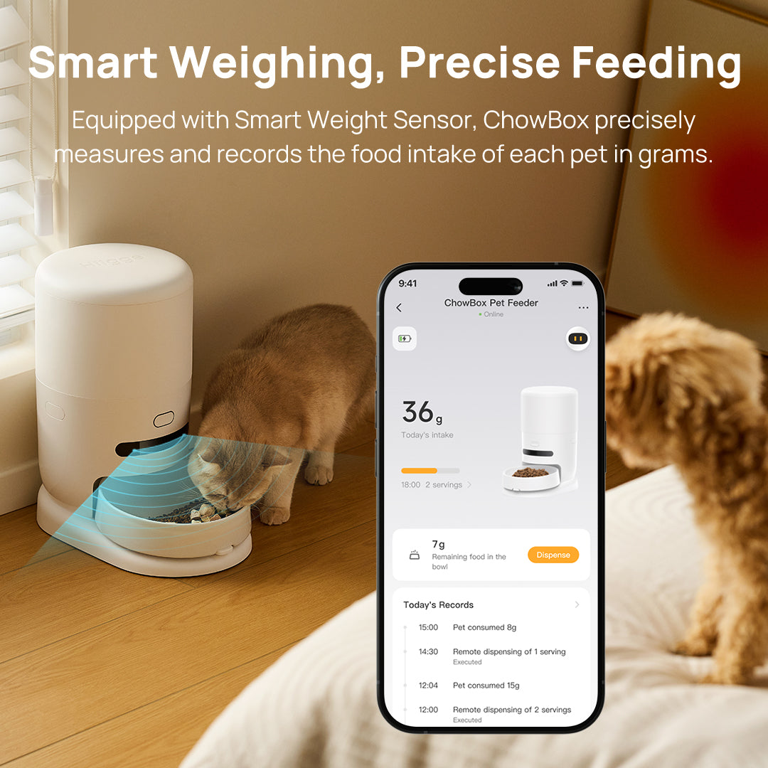 Automatic pet feeder measuring feeding on phone app with smart weight display