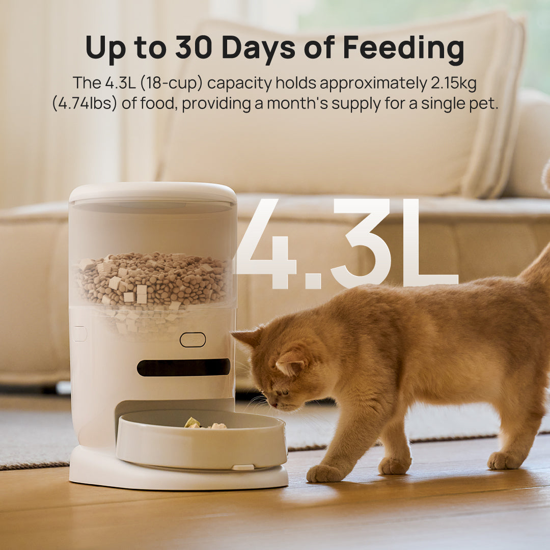 Automatic pet feeder with large 4.3L hopper and kibble bowl, cat nearby
