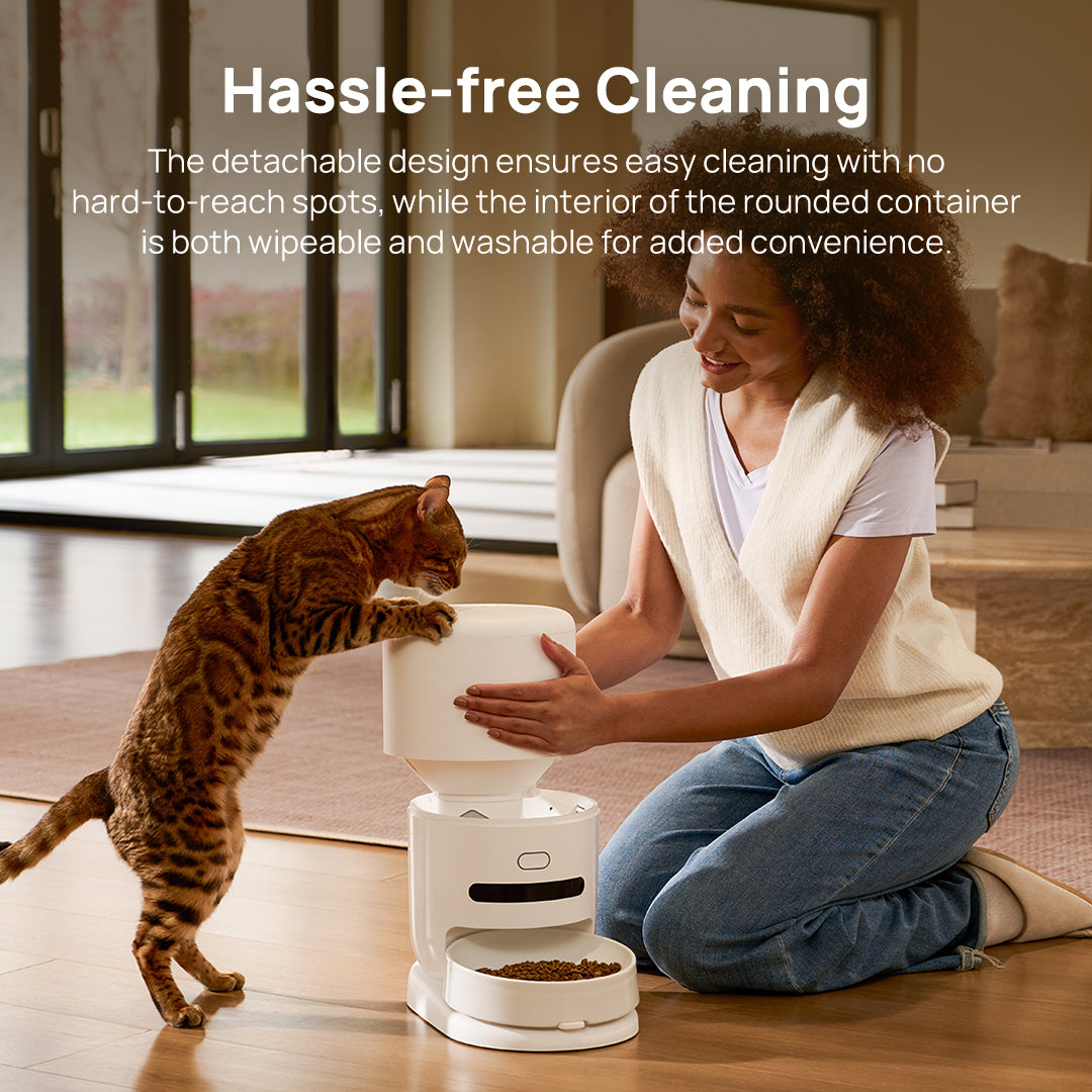 Automatic pet feeder with detachable top and removable food container for easy cleaning