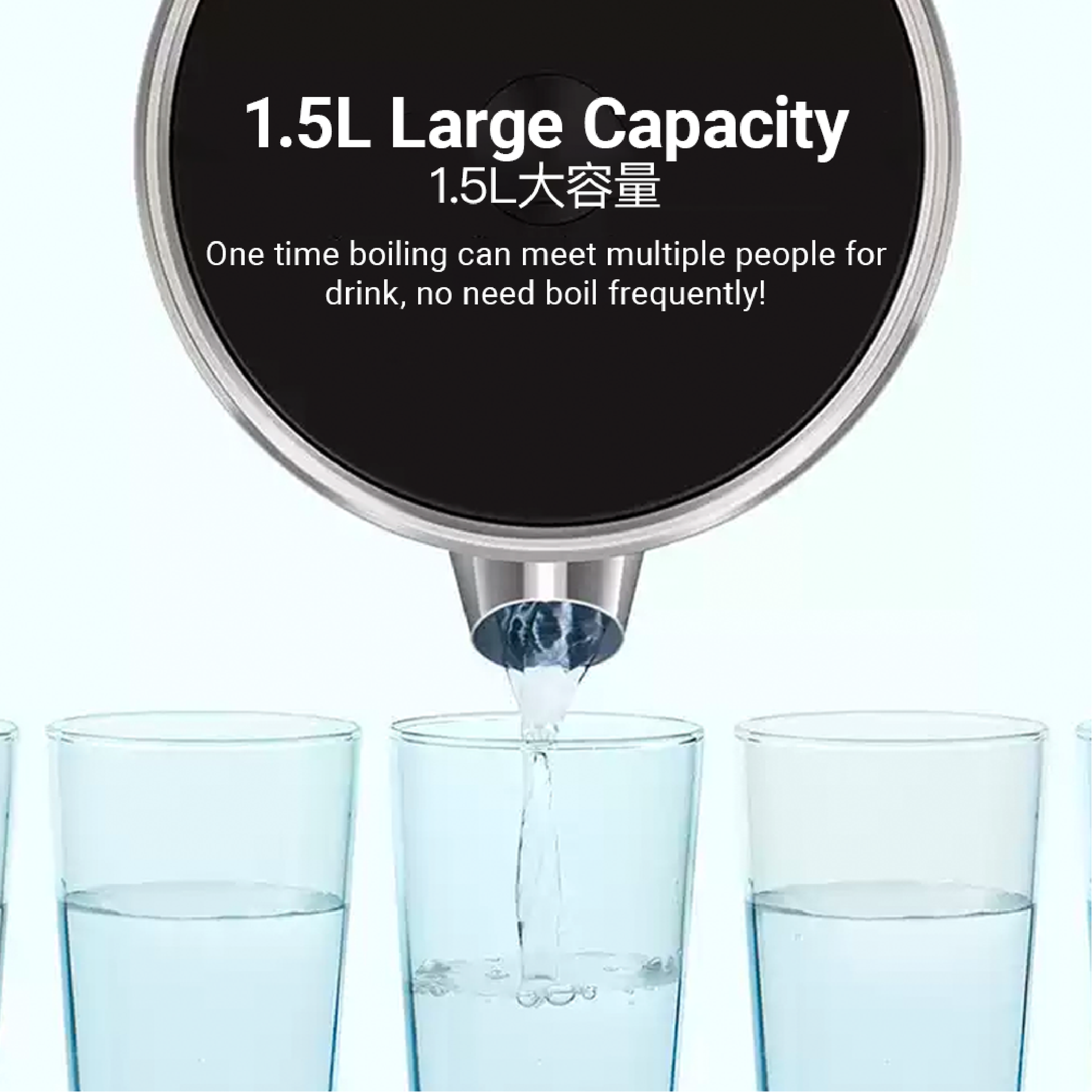 Tokit Intelligent Thermostatic Electric Kettle