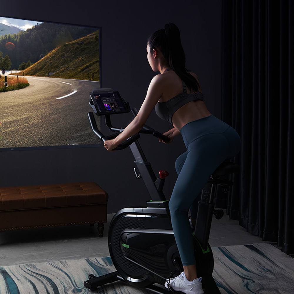 Kingsmith Indoor Spinning Bike H1