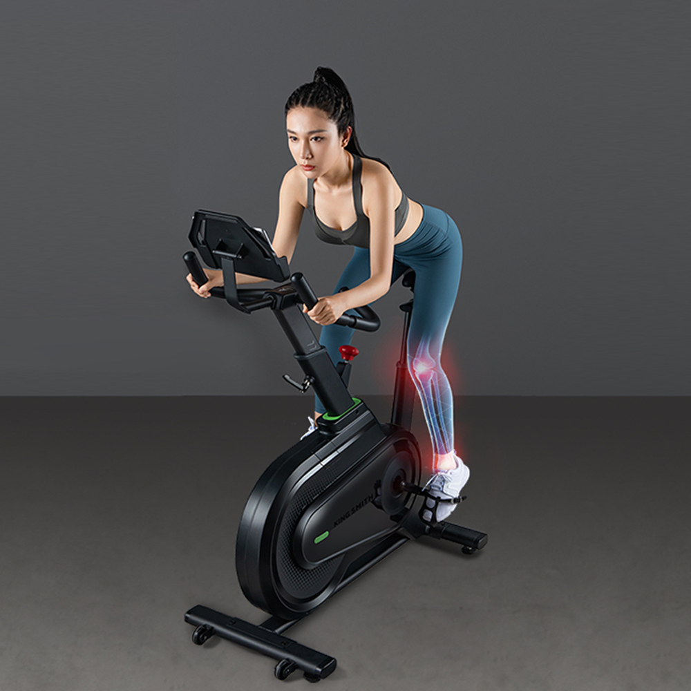 Kingsmith Indoor Spinning Bike H1