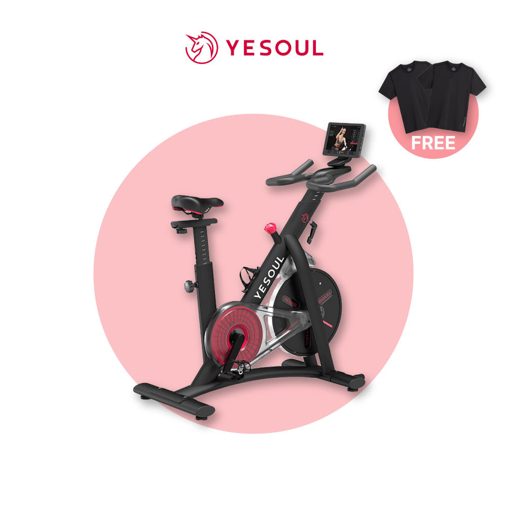 Yesoul S3 / S3 Pro Spinning Bike Indoor Gym Equipment