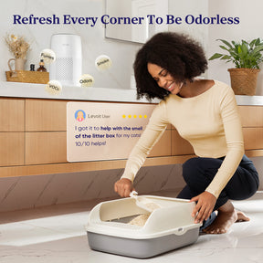 Levoit Core Mini Air Purifier With Aromatherapy (16 ㎡ / 169 ft²)
