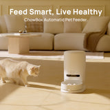 Automatic pet feeder with open bowl feeding cats, white cordless unit
