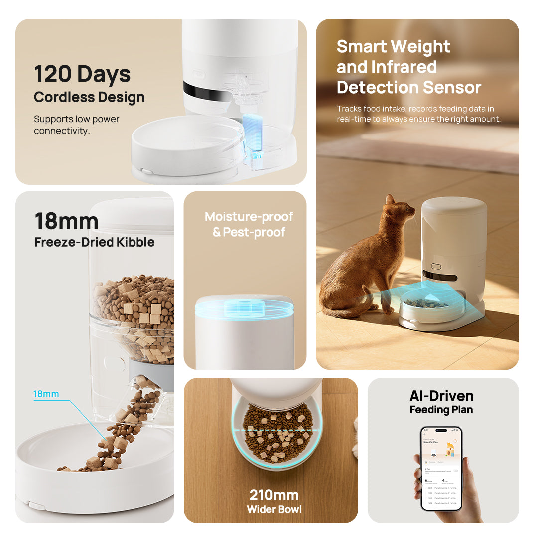 Automatic pet feeder with open hopper and kibble bowl, showing smart weight/infrared