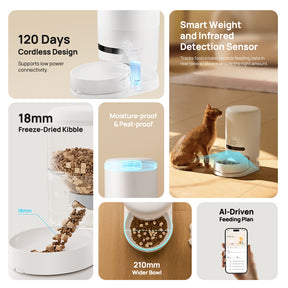 Hiigge ChowBox Automatic Pet Feeder Cordless Design Last Up to 120 Days