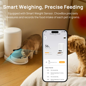 Hiigge ChowBox Automatic Pet Feeder Cordless Design Last Up to 120 Days