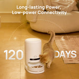 Automatic pet feeder with covered top and small window dispenser, cordless design