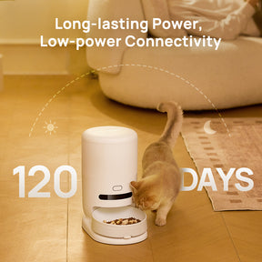 Hiigge ChowBox Automatic Pet Feeder Cordless Design Last Up to 120 Days