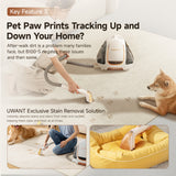 Spot cleaner with hose nozzle cleaning carpet near pet paws, white and gray