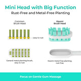 Xiaomi T300/T500 Replacement Toothbrush Heads