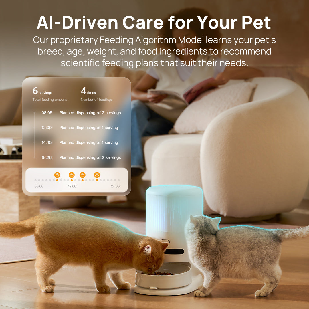 Automatic pet feeder dispensing into bowl with AI feeding plan displayed on screen