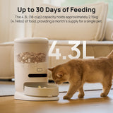 Automatic pet feeder with large 4.3L hopper and kibble bowl, cat nearby