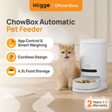 Hiigge ChowBox automatic pet feeder beside cat, with phone app control view