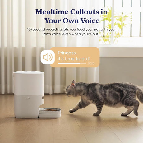 Weißer Smart Pet Feeder mit geöffneter Futterklappe und Bedienpanel