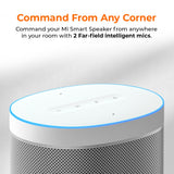 Xiaomi Mi Smart Speaker
