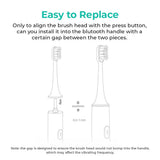 Xiaomi T300/T500 Replacement Toothbrush Heads
