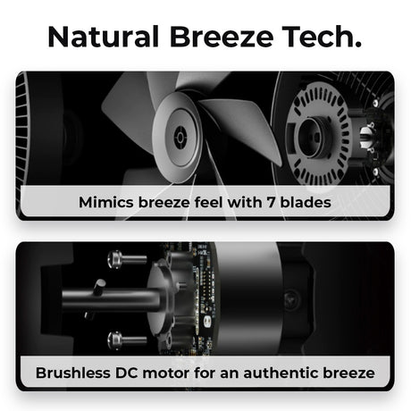 Fan motor and blade assembly graphic
