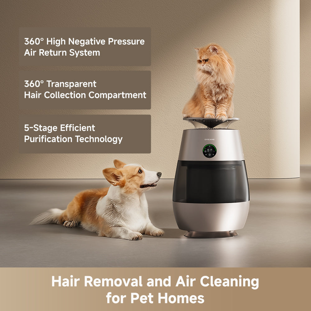 Dreame AP10 Pet Air Purifier