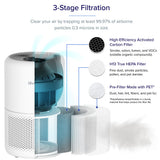 Levoit Core Family Package Air Purifiers (Large)