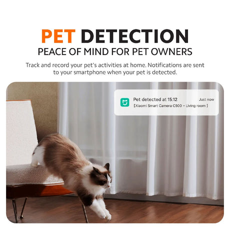Indoor smart camera feature card for pet detection and notification alerts
