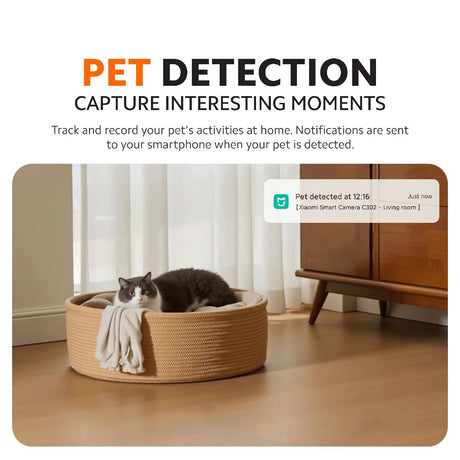 Indoor security camera pet detection that tracks your pet’s activity
