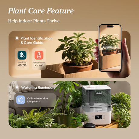 Levoit Classic 300S humidifier with control features shown near indoor plant