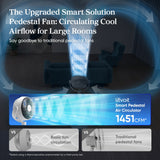 Levoit Air Circulator Fan