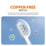 Xiaomi Electric Toothbrush T302 Replacement Heads (3-Pack)