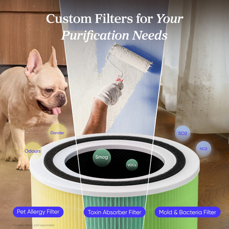 Air purifier with three colored replacement filter cartridges for pet, toxin, and mold