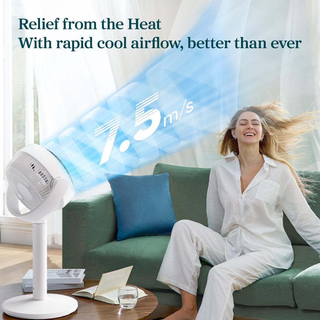 Levoit Air Circulator Fan