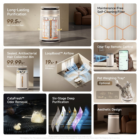 Dreame FP10 air purifier shown with transparent filter interior and top control area