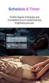 [Built to last/RGBIC】TP-Link Smart Light Bulb Tapo L530E L510E, L520E, control with app, schedule, automation