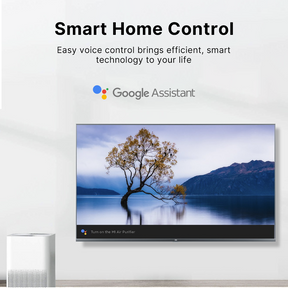 Xiaomi Smart TV 4K (4X) 65 Inch - Netflix