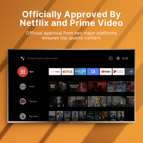 Xiaomi Smart TV 4K (4X) 65 Inch - Netflix
