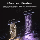 Cokit Mosquito Killer Lamp - 2 in 1