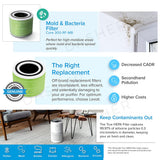 Mold & bacteria filter cartridge in green with black center opening.