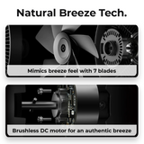 Smartmi Smart Cordless Stand Fan 2S - Ideal for Bring anywhere