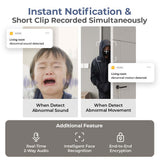 Camera hub with instant notification cards for abnormal sound and abnormal movement