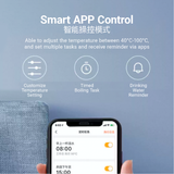 Tokit Intelligent Thermostatic Electric Kettle