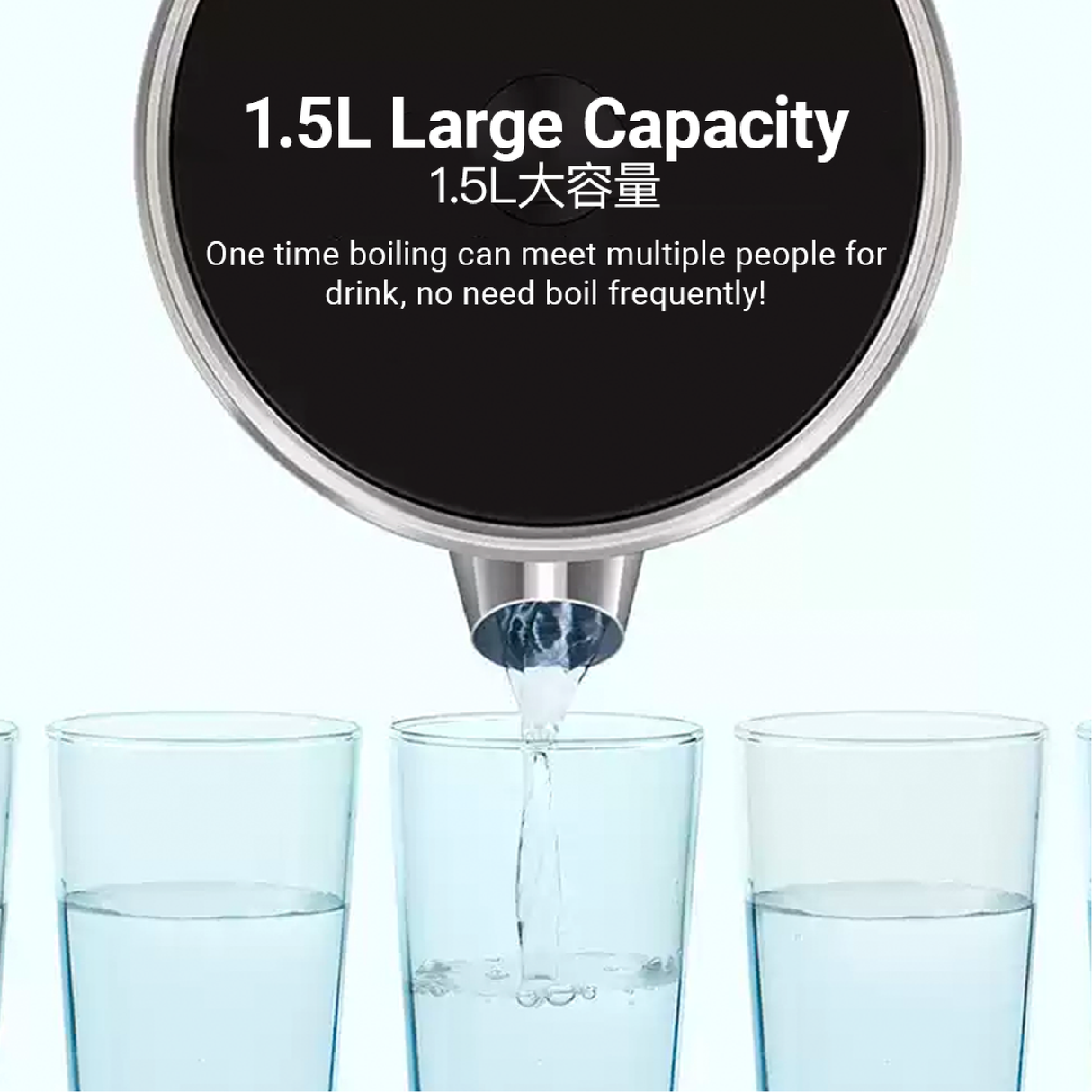 Tokit Intelligent Thermostatic Electric Kettle