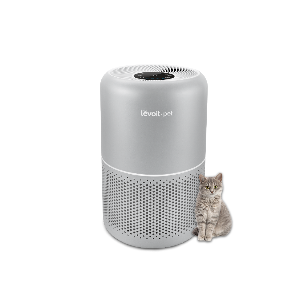 Levoit Air Purifier P350, weißes zylindrisches Gerät mit perforierter Front