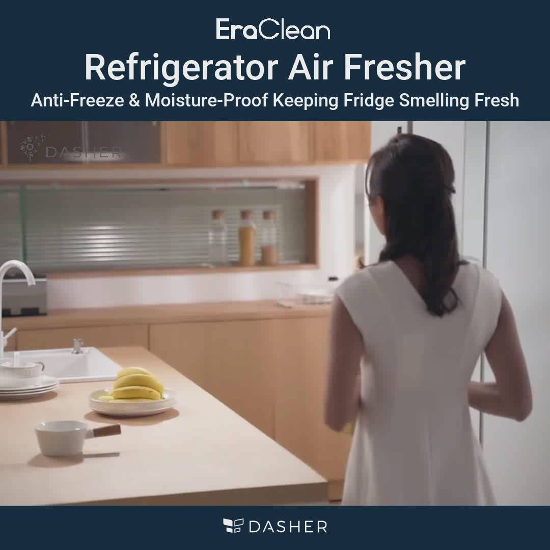 Eraclean Refrigerator Deodorizing Sterilizer
